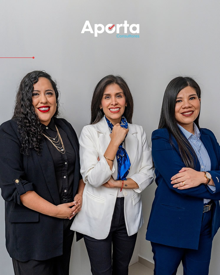 bienvenidos aporta consultores